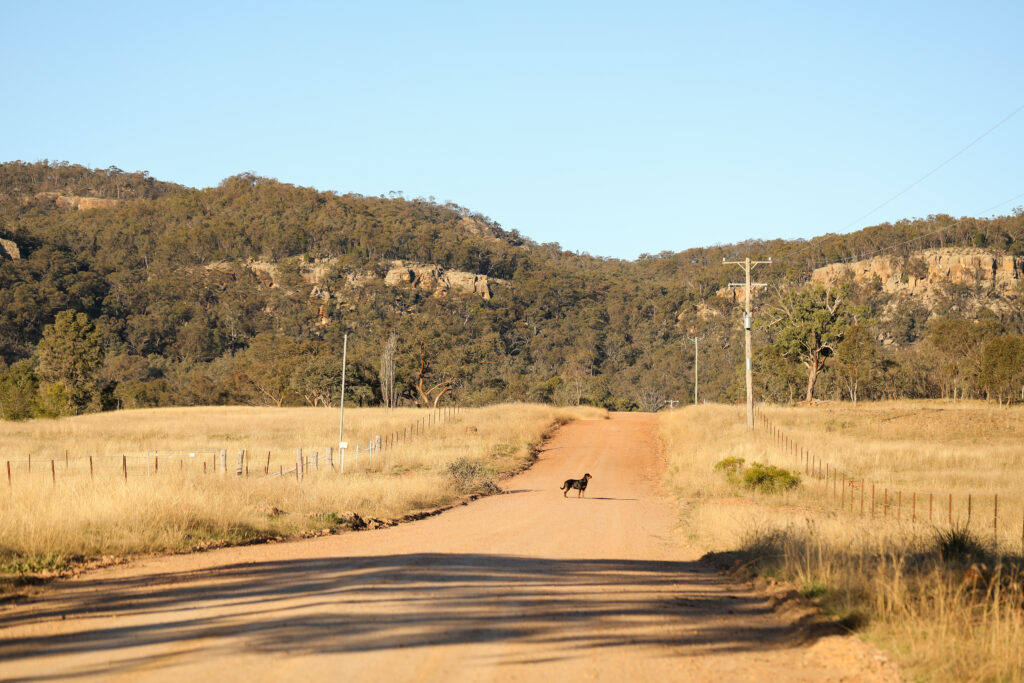 Rural Dirt Road Through Countryside Landscape