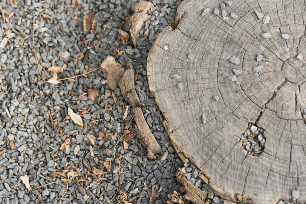 Tree Stump and Gravel Ground Texture After Land Clearing